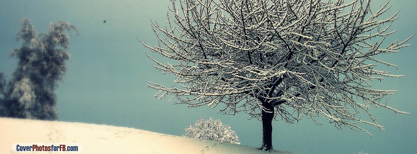 Vintage Winter Landscape Cover Photo