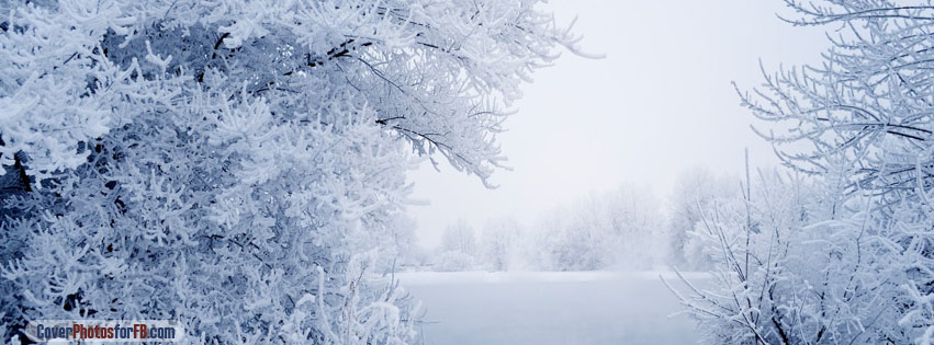 White Winter Scenery Cover Photo