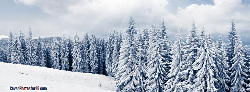 Winter Landscape Cover Photo