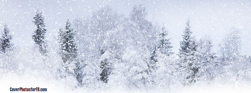 Winter Snow Cover Photo