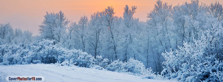 Winter Snow Trees Sunset Cover Photo