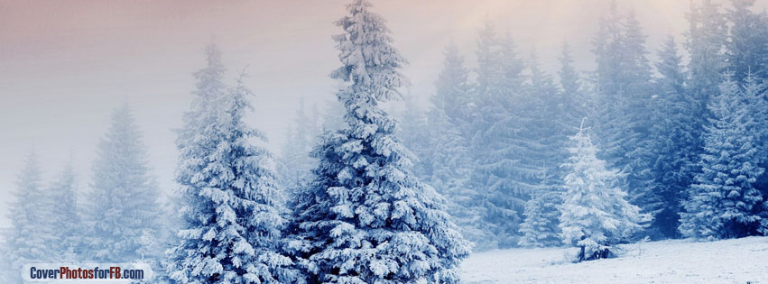 Winter Snow Trees Cover Photo