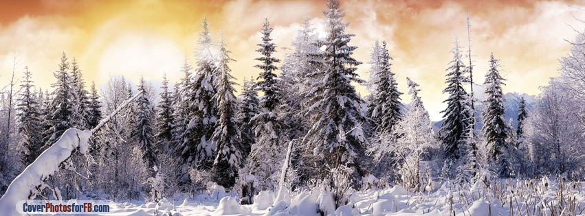 Winter Wonderland Cover Photo