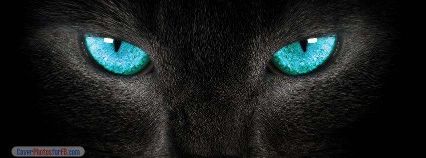 Kitty Eyes Cover Photo