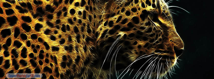 Leopard Cover Photo