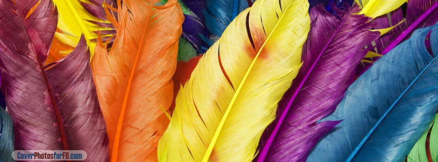 Colorful Feathers Cover Photo
