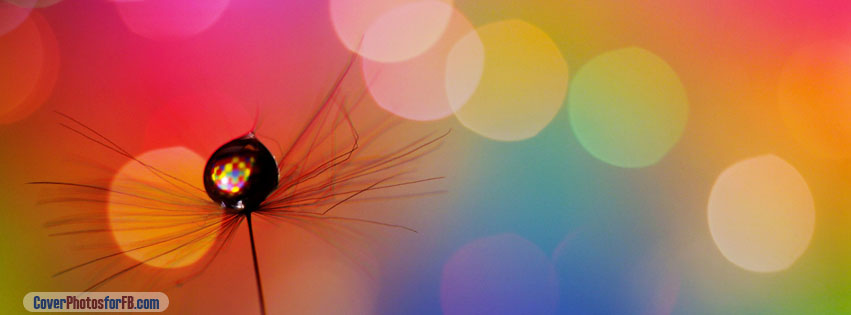 Drop In A Dandelion Seed Cover Photo