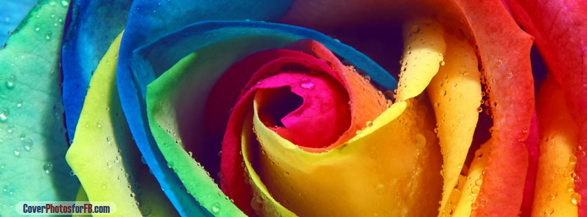 Rainbow Rose Macro Cover Photo