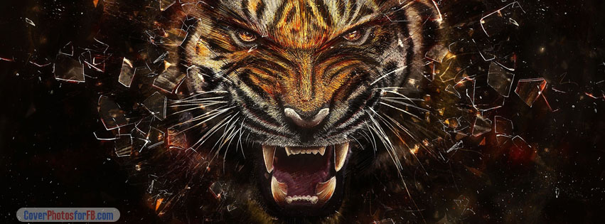 Tiger Backgrounds Cover Photo