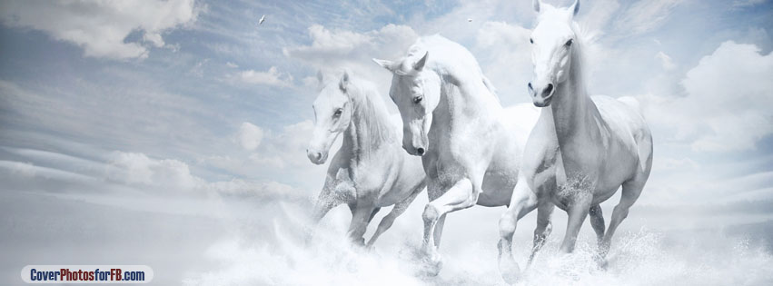 White Horses Cover Photo