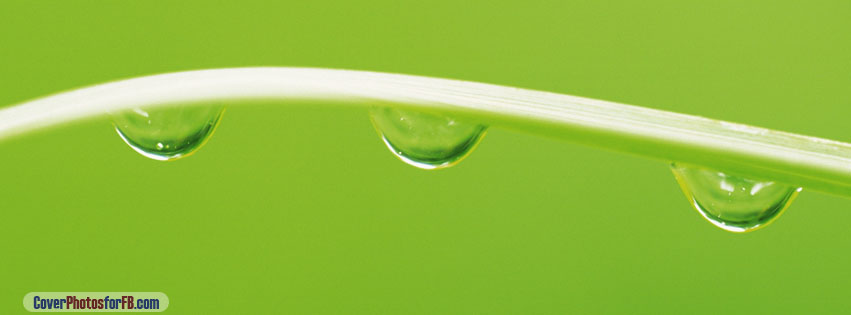 Few Drops Of Water Cover Photo