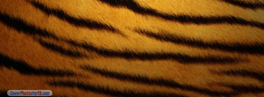 Tiger Skin Cover Photo
