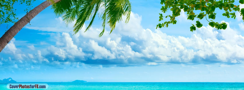 Tropical Beach Cover Photo