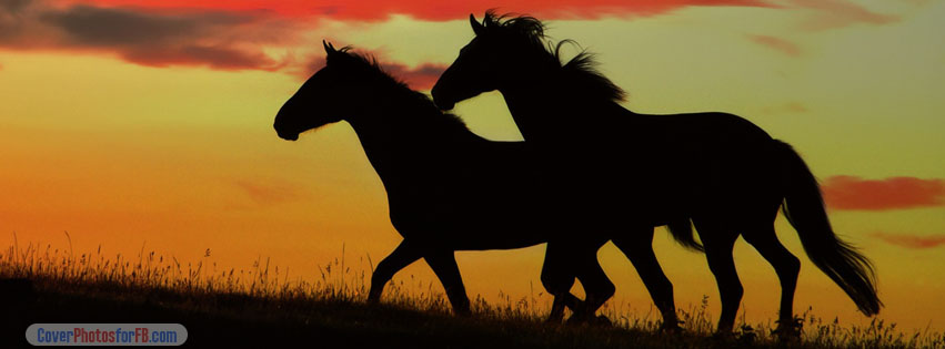 Black Horses Running Cover Photo