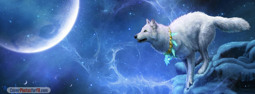 Magic White Wolf Cover Photo