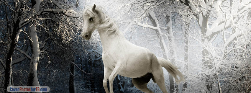 White Horse Snowy Tree Cover Photo