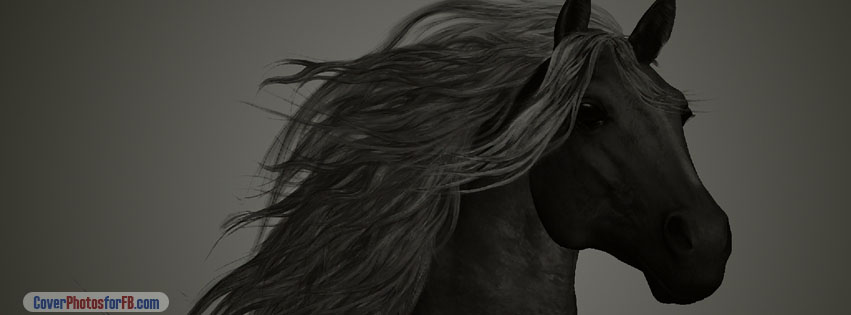 Black Horse Cover Photo