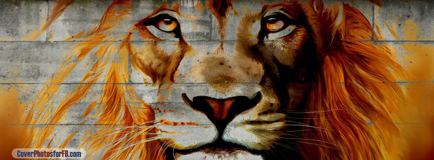 Lion Graffiti Art Cover Photo