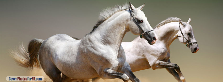 Beautiful Horses Cover Photo