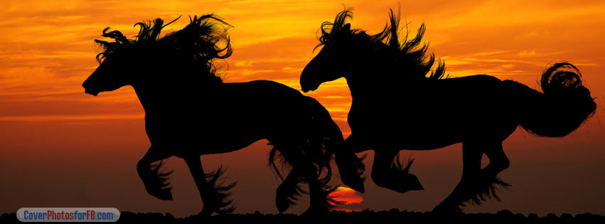 Horses Running Sunset Cover Photo