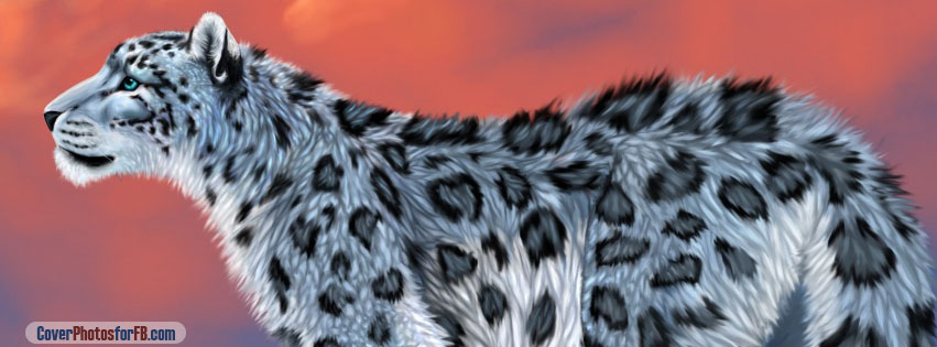 Snow Leopard Drawing Cover Photo