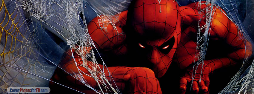 Spider Man Illustration Cover Photo