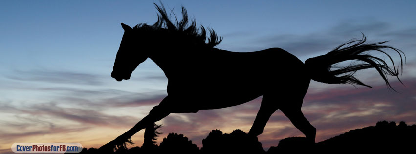Horse At Night Cover Photo