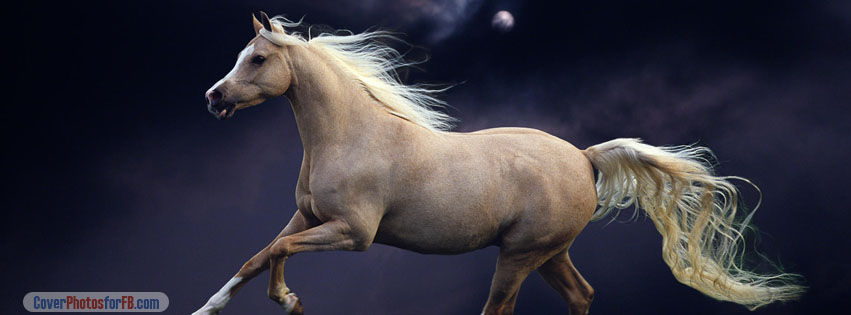 Galloping At Night Cover Photo