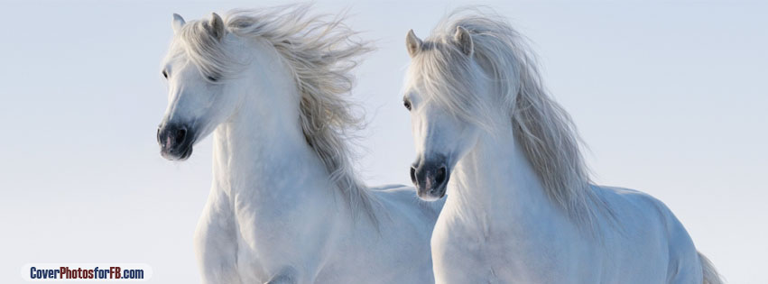 Two White Horses Cover Photo