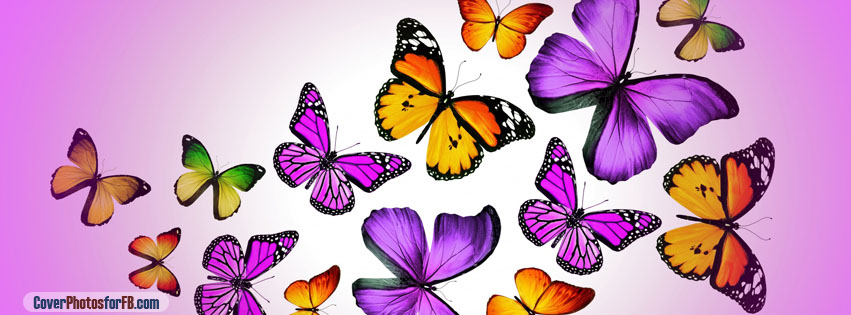 Butterflies Vector Cover Photo