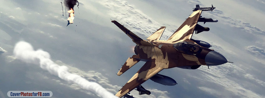 Two Brown Fighters Cover Photo