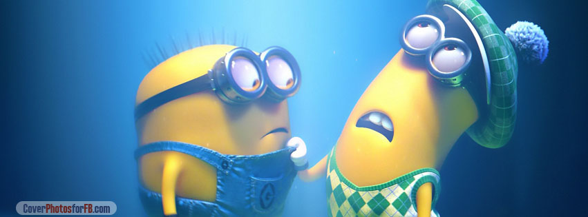 Despicable Me 2 Cover Photo