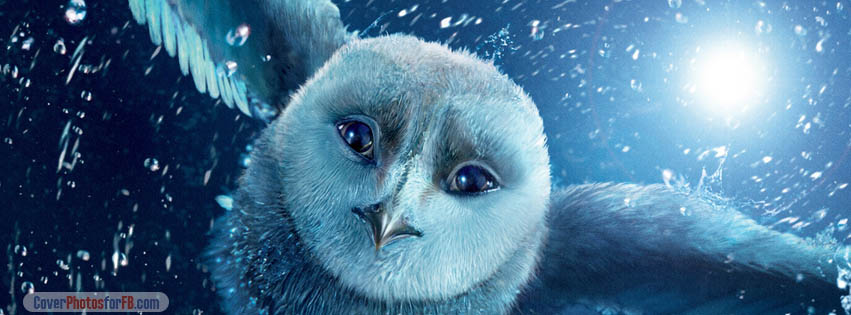 Legend Of The Guardians The Owls Of Ga Hoole Cover Photo