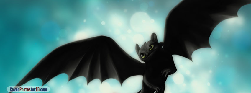 Night Fury Toothless Cover Photo