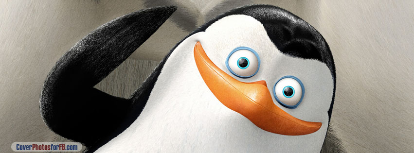 Private Penguins Of Madagascar Cover Photo