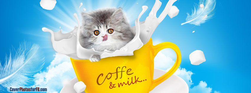Adorable Kitten Coffee Milk Cover Photo