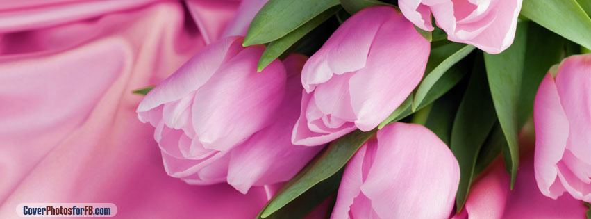 Romantic Tulips Cover Photo