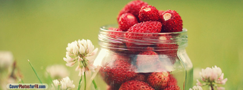 Strawberry Jar Cover Photo
