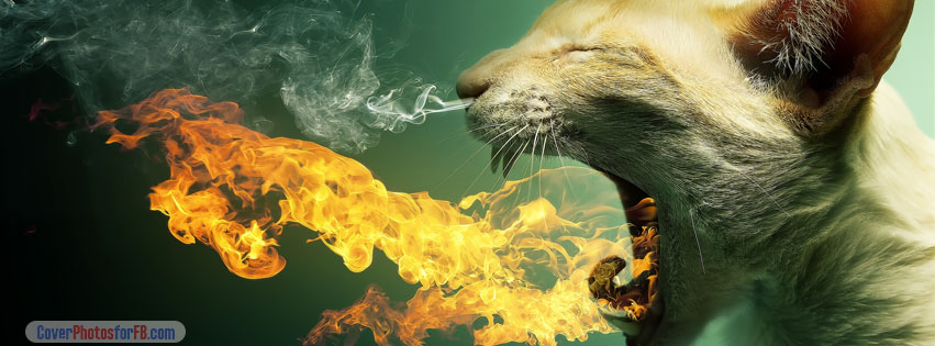 Flaming Cat Cover Photo