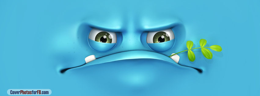 Grumpy Face Cover Photo