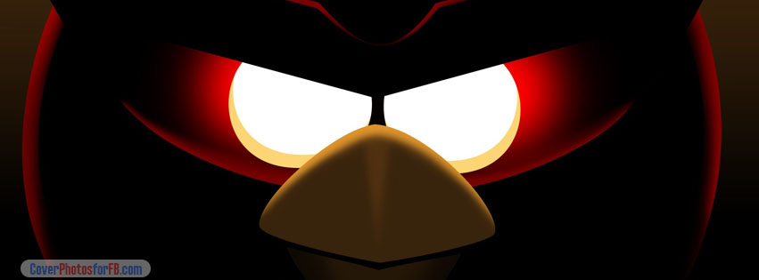 Angry Birds Space Cover Photo