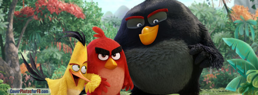 Angry Birds Movie Cover Photo