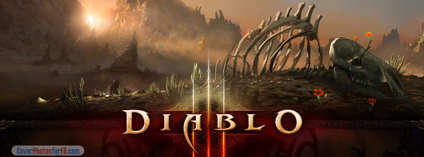 Diablo 3 Game Cover Photo