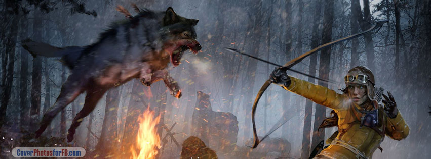 Rise Of The Tomb Raider Cover Photo