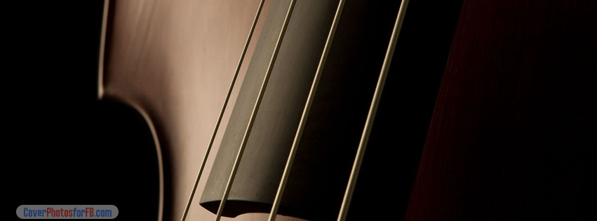 Double Bass Strings Cover Photo