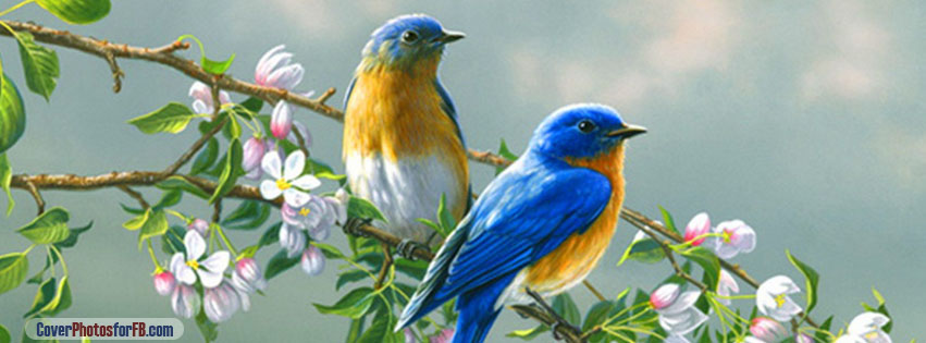 Flowers And Love Birds Cover Photo