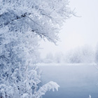 Winter Cover Photos